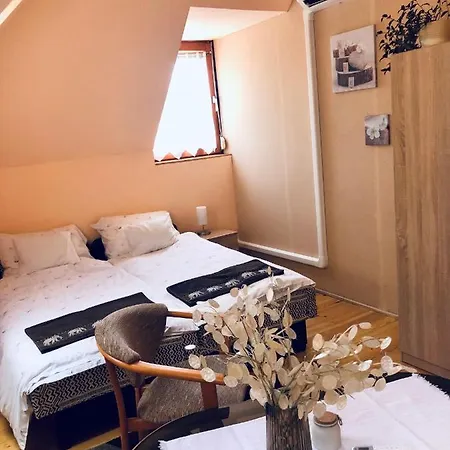 Agnes Vendeghaz Apartmán *